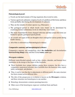 Class 12 Biology: Evolution Notes | PDF | Homo | Evolution