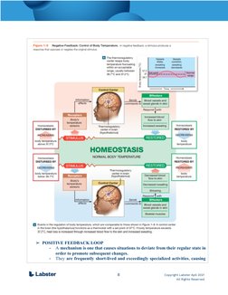 Lab Report # 1 - HOMEOSTASIS | PDF | Homeostasis | Stimulus (Physiology)