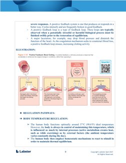 Lab Report # 1 - HOMEOSTASIS | PDF | Homeostasis | Stimulus (Physiology)