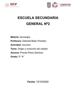 ESCUELA SECUNDARIA
GENERAL Nº2
Materia: tecnología 
Profesora: Gabriela Balan Paredes
Actividad: resumen
Tema: Origen y evolu