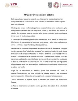 Origen y evolución del caballo
De la agricultura a la guerra, pasando por el transporte, los caballos nos han 
acompañado des