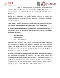Según los datos de algunas investigaciones, el Equus ferus se
desplazó  del  este  de  Asia  hace  aproximadamente 160  000