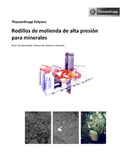ThyssenKrupp Polysius
Rodillos de molienda de alta presión 
para minerales
Rene I.B. Klymowsky, Polysius AG, Beckum, Alemania
