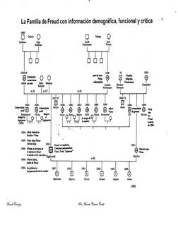 La Familia de Freud con información demográfica, funcional y critica 
-1856 
Q 
Galicia Q 
Schlomo 
1815-96 
,.:.., Tysmi·~