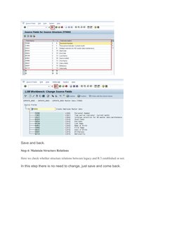 LSMW Step-by-Step Guide for SAP | PDF | Computer File | Microsoft Excel