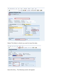 LSMW Step-by-Step Guide for SAP | PDF | Computer File | Microsoft Excel