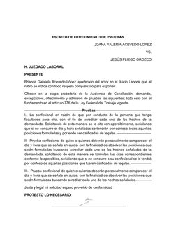 ESCRITO DE OFRECIMIENTO DE PRUEBAS
JOANA VALERIA ACEVEDO LÓPEZ
VS.              
JESÚS PLIEGO OROZCO
H. JUZGADO LABORAL
PRESE