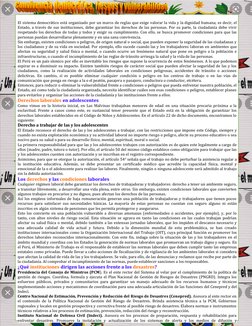 El sistema democrático está organizado por un marco de reglas que exige valorar la vida y la dignidad humana; es decir, el