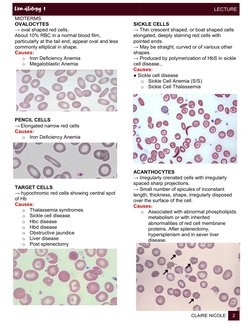 Oval Rbc Red Blood Cell Morphology Overview | PDF | Red Blood Cell | Anemia