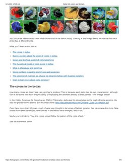 11/14/22, 12:18 AM
Betta fish colors and formats
https://bettaproject.com/en/betta-fish-genetics/introduction-to-bettas-color