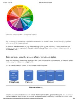 11/14/22, 12:18 AM
Betta fish colors and formats
https://bettaproject.com/en/betta-fish-genetics/introduction-to-bettas-color