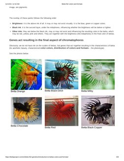 11/14/22, 12:18 AM
Betta fish colors and formats
https://bettaproject.com/en/betta-fish-genetics/introduction-to-bettas-color