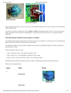 11/14/22, 12:18 AM
Betta fish colors and formats
https://bettaproject.com/en/betta-fish-genetics/introduction-to-bettas-color