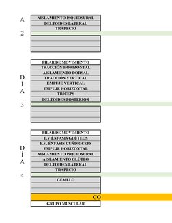 AISLAMIENTO ISQUIOSURAL
DELTOIDES LATERAL
TRAPECIO
OPCIONAL
PILAR DE MOVIMIENTO
TRACCIÓN HORIZONTAL
AISLAMIENTO DORSAL
TRACCI