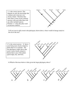 Basic Tree Thinking Quiz Answers | PDF | Phylogenetic Tree | Plants