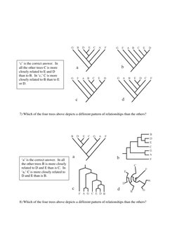 Basic Tree Thinking Quiz Answers | PDF | Phylogenetic Tree | Plants