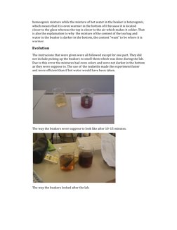 Tea Bag Diffusion Experiment Insights | PDF | Tea | Water