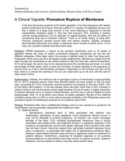 Prepared by:
Sheena Gallardo, Julie Lauron, Justine Quieta, Monece Solis, and Cyrus Tejam
A Clinical Vignette: Premature Rupt