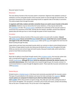 Muscular System Function
Movement
The most obvious function of the muscular system is movement. Organisms have adopted a vari