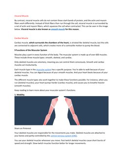 Visceral Muscle
By contrast, visceral muscle cells do not contain these stark bands of protein, and the actin and myosin 
fib