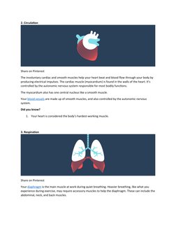 2. Circulation
Share on Pinterest
The involuntary cardiac and smooth muscles help your heart beat and blood flow through your