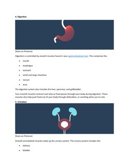 4. Digestion
Share on Pinterest
Digestion is controlled by smooth muscles found in your gastrointestinal tract. This comprise