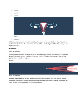 
ureters

urethra

penis or
vagina

prostate
All the muscles in your urinary system work together so you can urinate. The