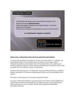  
 
Primera fase: trabajo biomecánico del tercio apical del canal radicular
La Tecnica De Step Back En Endodoncia, Se inicia