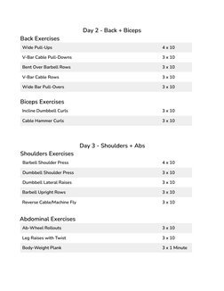 Day 2 - Back + Biceps
Back Exercises
Wide Pull-Ups
4 x 10
V-Bar Cable Pull-Downs
3 x 10
Bent Over Barbell Rows
3 x 10
V-Bar C