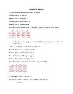 Dihybrid Cross Worksheet with Answers | PDF
