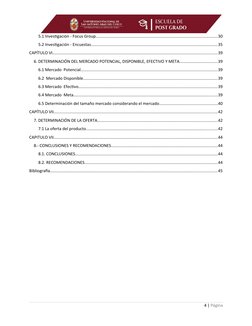 5.1 Investigación - Focus Group..............................................................................................