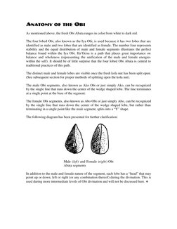 ANATOMY OF THE OBI 
 
As mentioned above, the fresh Obi Abata ranges in color from white to dark red.  
 
The four lobed Obi,