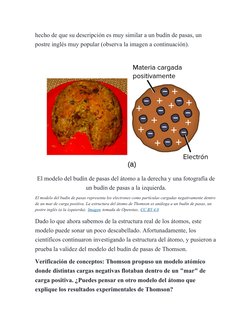 hecho de que su descripción es muy similar a un budín de pasas, un 
postre inglés muy popular (observa la imagen a continuaci