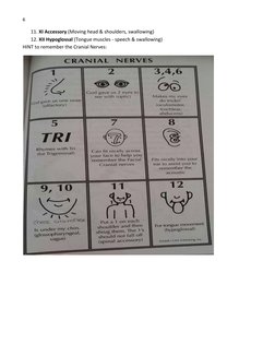 6 
 
 
11. XI Accessory (Moving head & shoulders, swallowing) 
12. XII Hypoglossal (Tongue muscles - speech & swallowing) 
HI