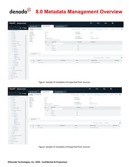 Denodo8 - Metadata Management Overview | PDF | Metadata | Data Model