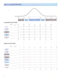 Bot - 2 Full Version | PDF