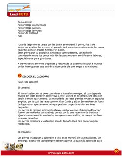 Pastó Alemán 
Pastor Belga Groenendael 
Pastor Belga Malinois 
Pastor belga Tervuren 
Pastor de Shetland 
Puli