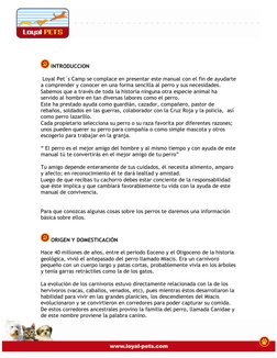 INTRODUCCION 
 
 Loyal Pet´s Camp se complace en presentar este manual con el fin de ayudarte 
a comprender