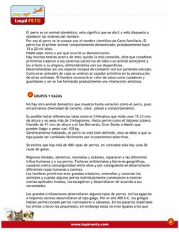 El perro es un animal doméstico, esto significa que es dócil y está dispuesto a 
obedecer las órdenes del hombre.