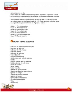 conocemos hoy en día. 
Hasta el año de 1859 se celebró en Inglaterra la primera exposición canina. 
Por otro lado