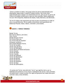Como su nombre lo indica, este grupo reúne los perros especializados para 
desempeñar alguna labor o ayuda al tr