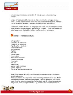 Son activos y entusiastas, con avidez de trabajo y una naturaleza muy 
amistosa. 
 
Aunque el la actualidad la