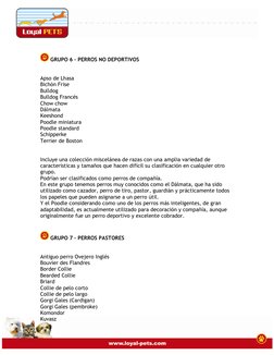 GRUPO 6 – PERROS NO DEPORTIVOS 
 
  
Apso de Lhasa 
Bichón Frise 
Bulldog 
Bulldog Francés 
Chow chow 
Dálmat