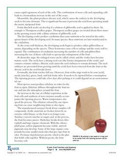 causes rapid expansion of each of the cells. The combination of more cells and expanding cells
leads to a tremendous increase