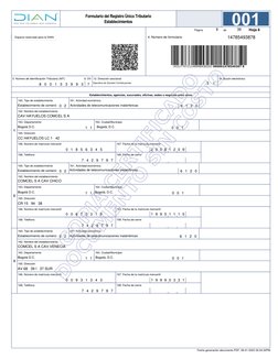169. Fecha de cierre
Establecimientos, agencias, sucursales, oficinas, sedes o negocios entre otros
161. Actividad económica