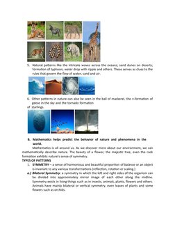 Patterns of Mathematics in Nature | PDF | Pattern | Mathematics