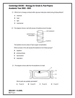 IGCSE Grade 8 Biology Past Papers | PDF | United Kingdom | England