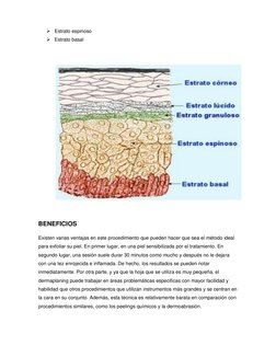  Estrato espinoso 
 Estrato basal 
 
 
 
 
BENEFICIOS 
Existen varias ventajas en este procedimiento que pueden hacer q
