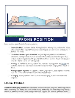 Overview of Patient Positioning Types | PDF | Anatomical Terms Of ...