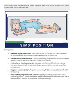 Sims Position Drawing Overview of Patient Positioning Types | PDF | Anatomical Terms Of ...